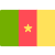 flag Cameroon